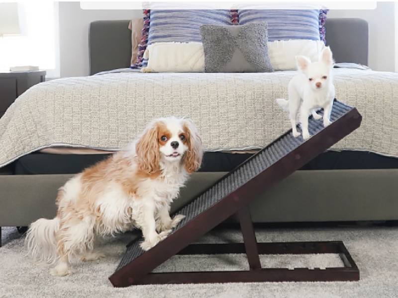 Dog Ramp For Bed