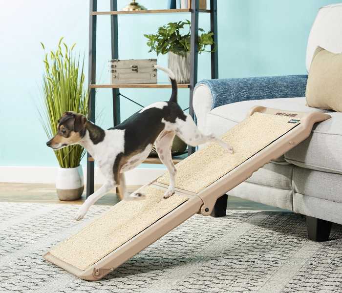 PetGear Dog Ramp For Couch Sofa