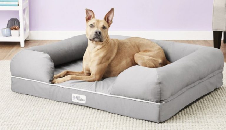 Petfushion ultimate memory foam dog bed with removable cover
