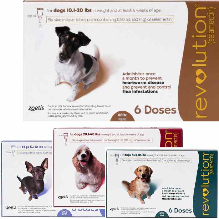 Click to open expanded view Revolution Topical Solution for Dogs, 10.1-20 lbs, (Brown Box), slide 1 of 5 Slide 2 of 5 Slide 3 of 5 video, Slide 4 of 5video video, Slide 5 of 5video DEAL Revolution Flea & Tick Treatment Heartworm Prevention Topical Solution for Dogs