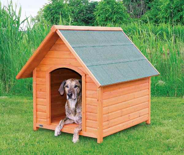 Large Dog House