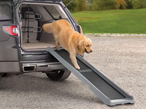 Read more about the article Dog Ramp For Car