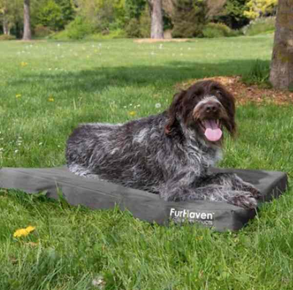 furhaven deluxe oxford outdoor dog bed