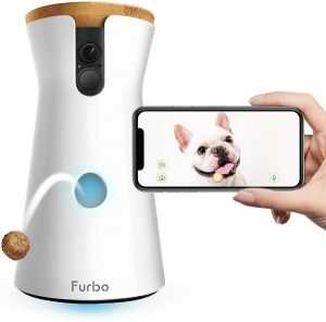 Dog Camera