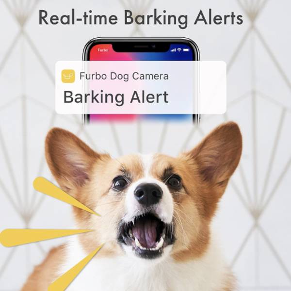 Furbo Dog Camera with barking alert