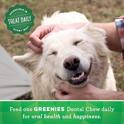Greenies Original Teenie Dog Dental Chews