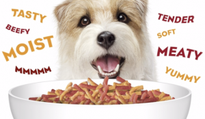 Moist and meaty dog food