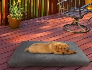 Waterproof dog bed