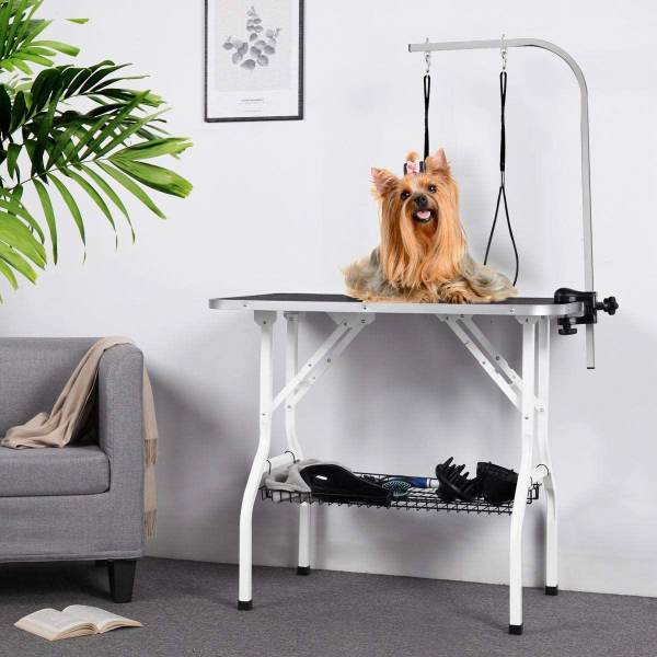 dog grooming table