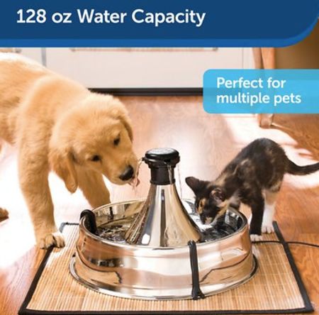 petsafe stainless steel filtered water dog water fountain