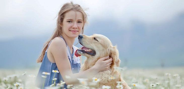 Read more about the article Weight Management Dog Food