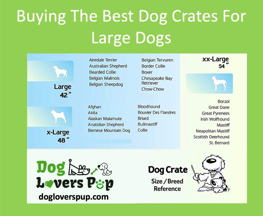 Buying the best dog crates for large dogs by getting the right crate size