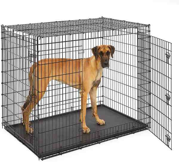 Extra-large-dog-crate