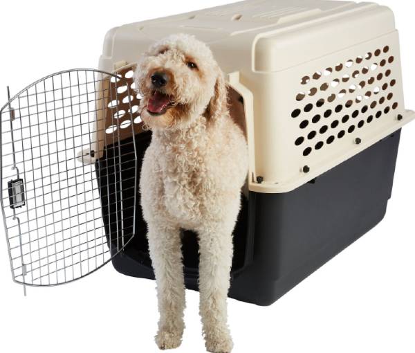 Frisco plastic dog kennel