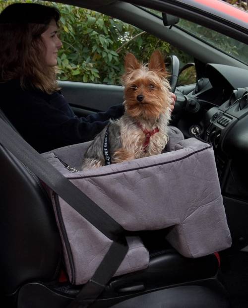 Pet Gear Booster Car Seat