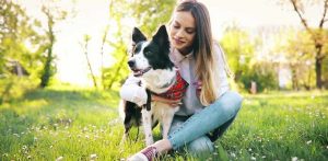 Best Dog Food For Dry Itchy Skin