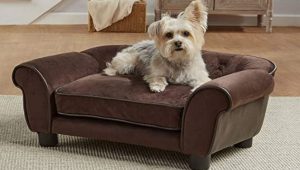 Dog Coach Dog Sofa