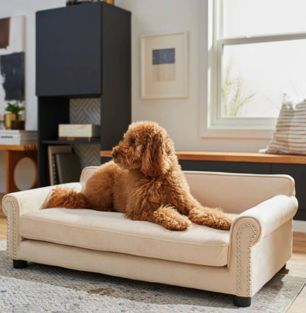 Frisco sofa dog bed