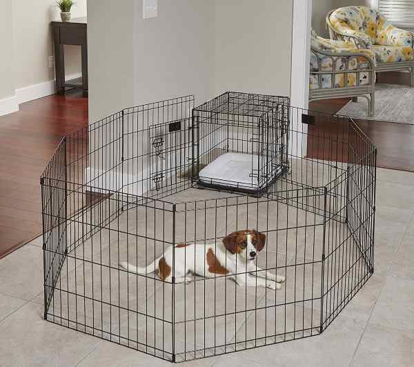 Portable Dog Fence