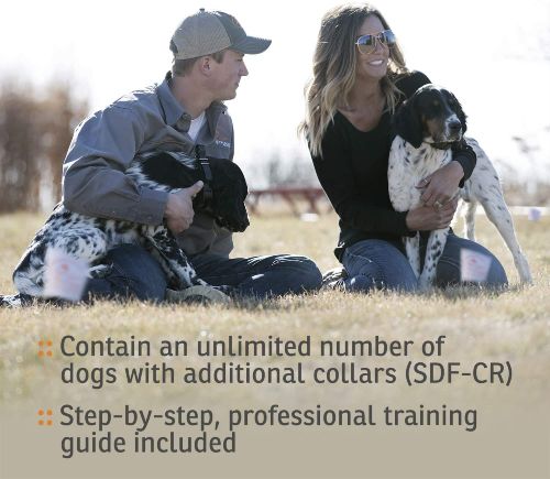 SportDog Dog Fence