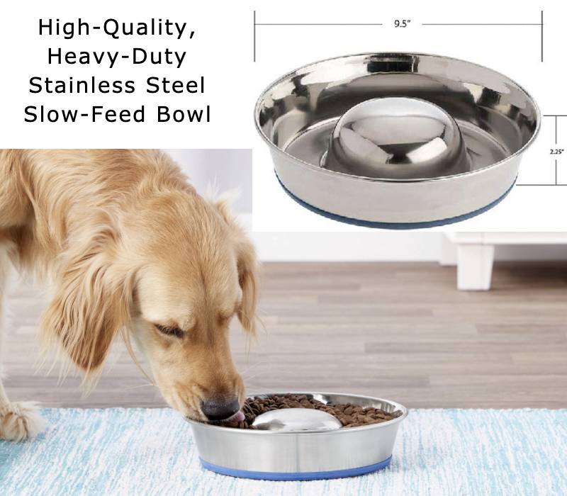 Stainless Steel Slow Feeder Dog Bowl