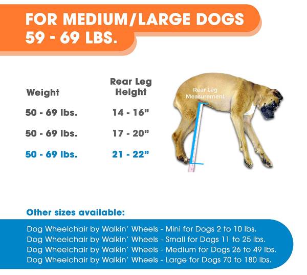 Walkin Wheels Dog Wheelchair Image