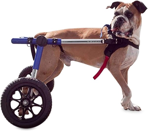 Walkin Wheels Dog Wheelchair Large