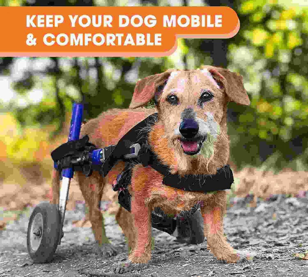 Walkin Wheels Dog Wheelchair Small