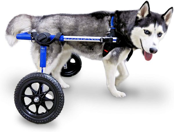 Walkin Wheels Dog Wheelchair