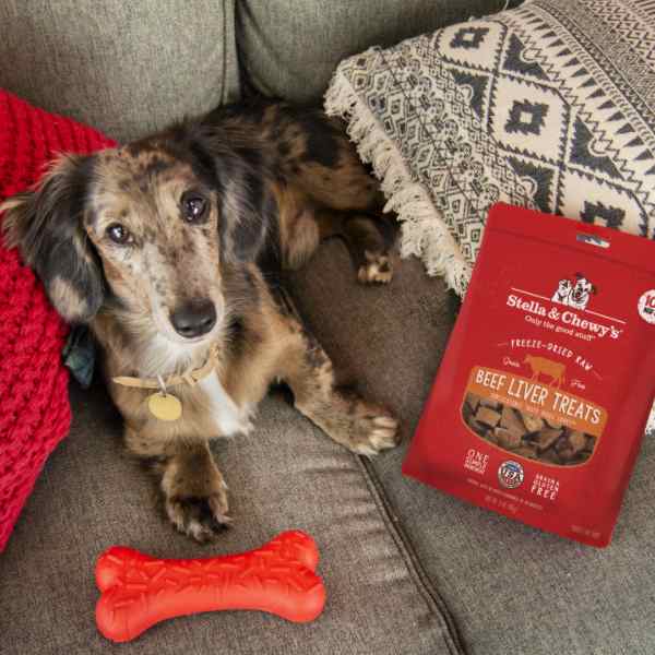 Freeze Dried Raw Dog Treats