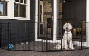 Carlson Pet Products Outdoor Extra Tall Super Wide Outdoor Dog Gate