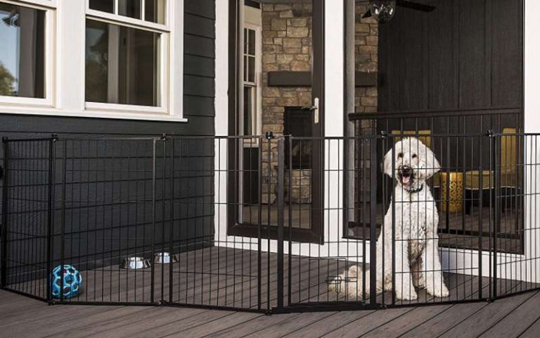 Read more about the article Outdoor Dog Gates