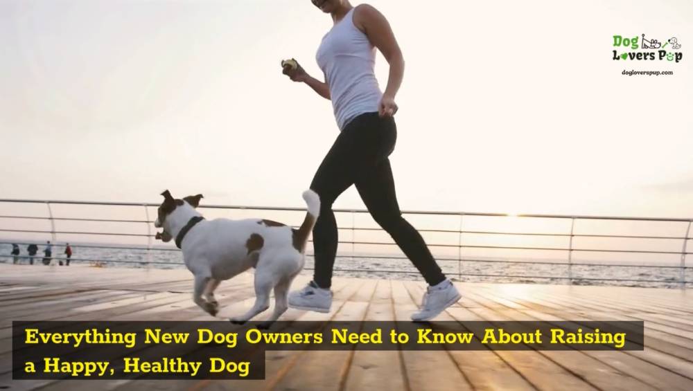 Dog owner raising healthy & happy dog