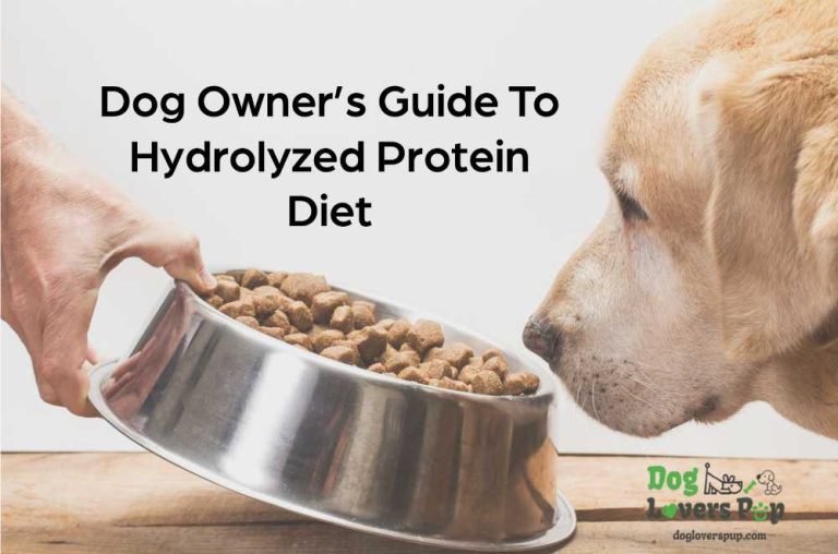 Read more about the article Guide to Hydrolyzed Protein Diet For Dog Owners