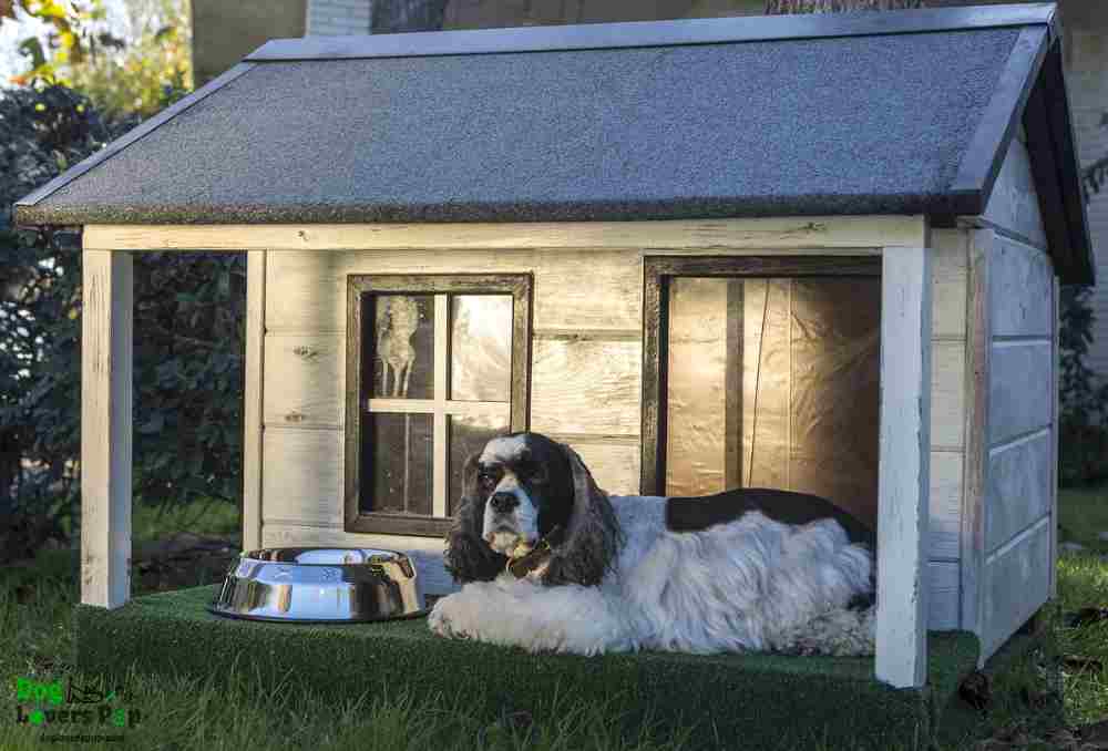 Dog sleeping in an outdoor dog house