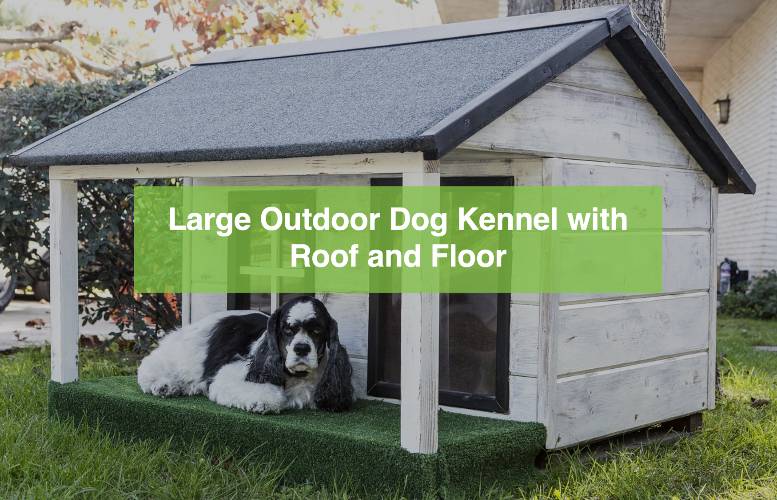 Large dog resting in a covered outdoor dog kennel with roof