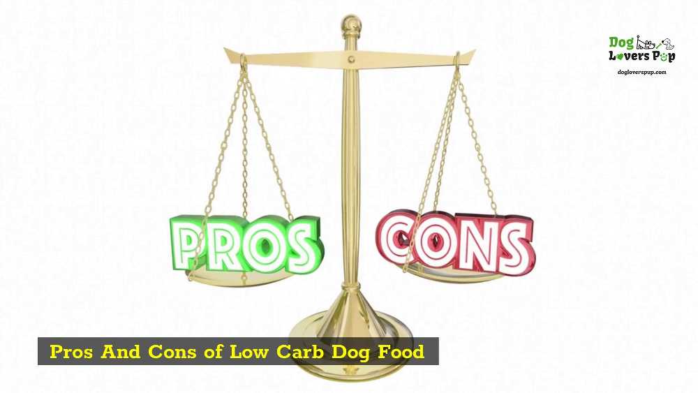 pros and cons