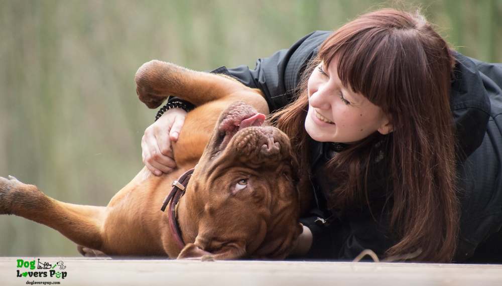 dog parent playing with her dog