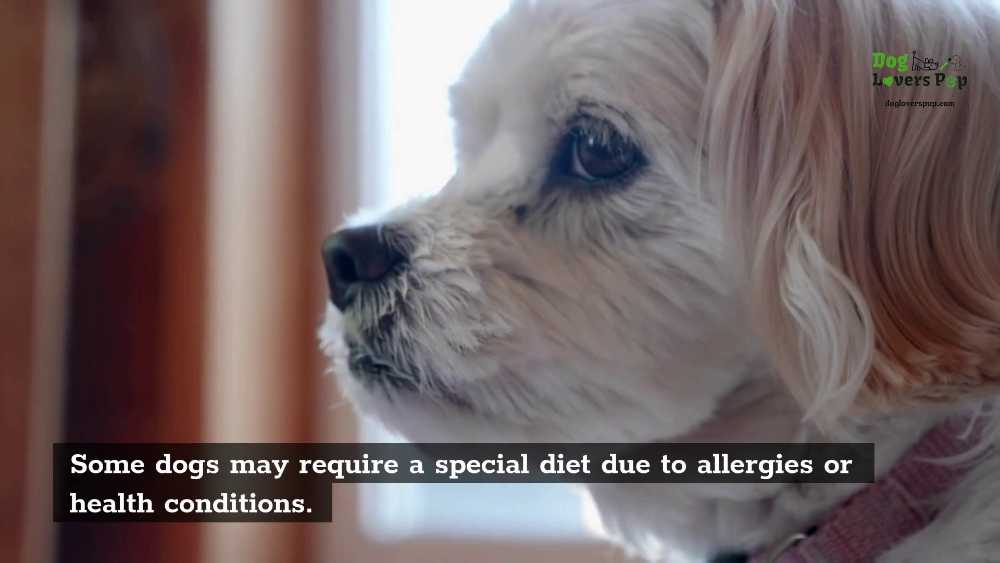 Special diet that some dogs need for health conditions