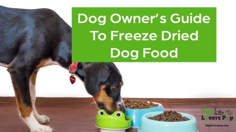 Read more about the article Dog Owner’s Guide to Freeze Dried Raw Dog Foods