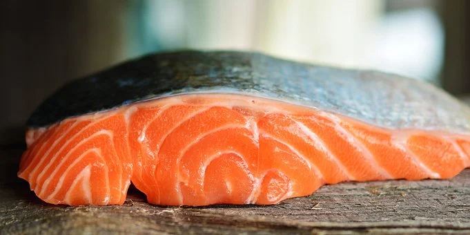 benefits of salmon dog food
