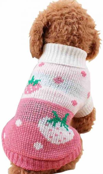 Chborchichen dog sweater