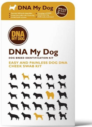 DNA my dog test kit