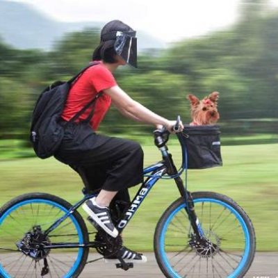 Best dog carrier for bike