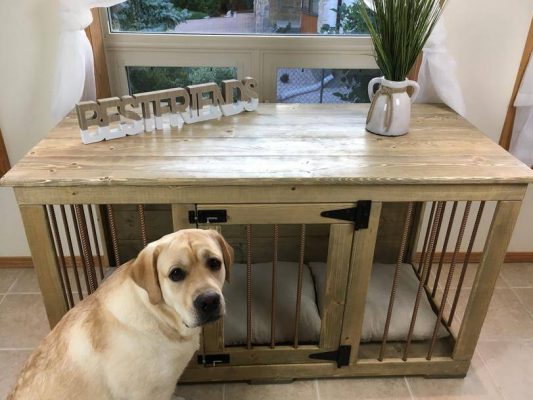 Furniture wooden crate for large dog