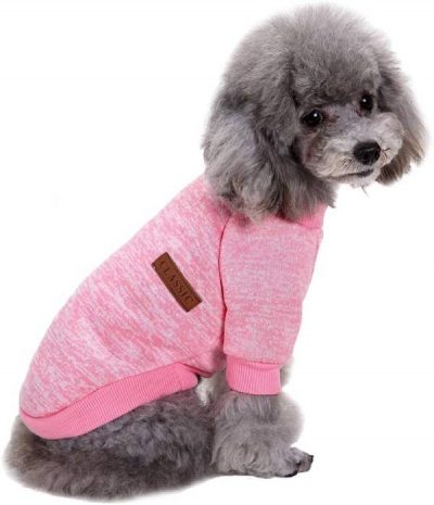 Fashion Focus Small dog sweater