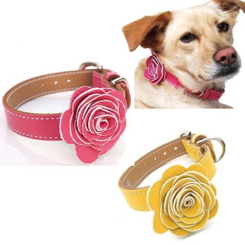 Flower Child Leather Dog Collar