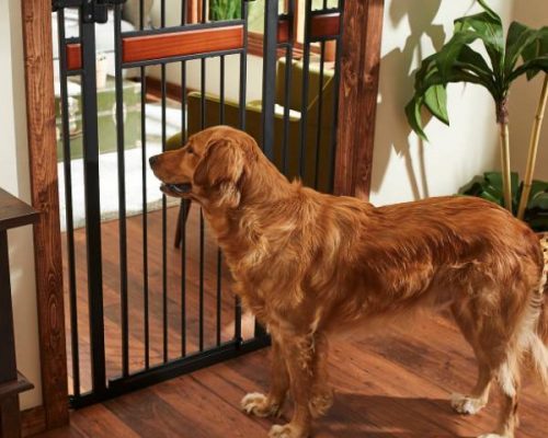 Frisco Wood Accents Extra Tall Dog Gate