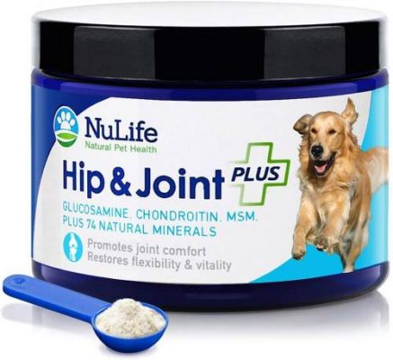 Glucosamine powder for dogs