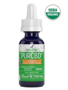 Innovet CBD Oil for Large Dog